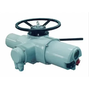 Actuator valve